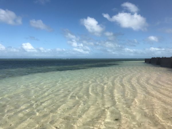 オーストラリア連邦・ケアンズ「オーストラリア」の写真