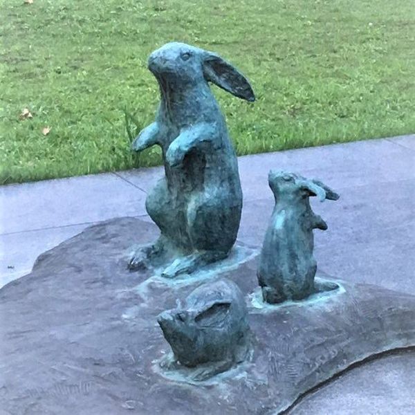 日本・鳥取「鳥取→敦賀→新大阪」の写真