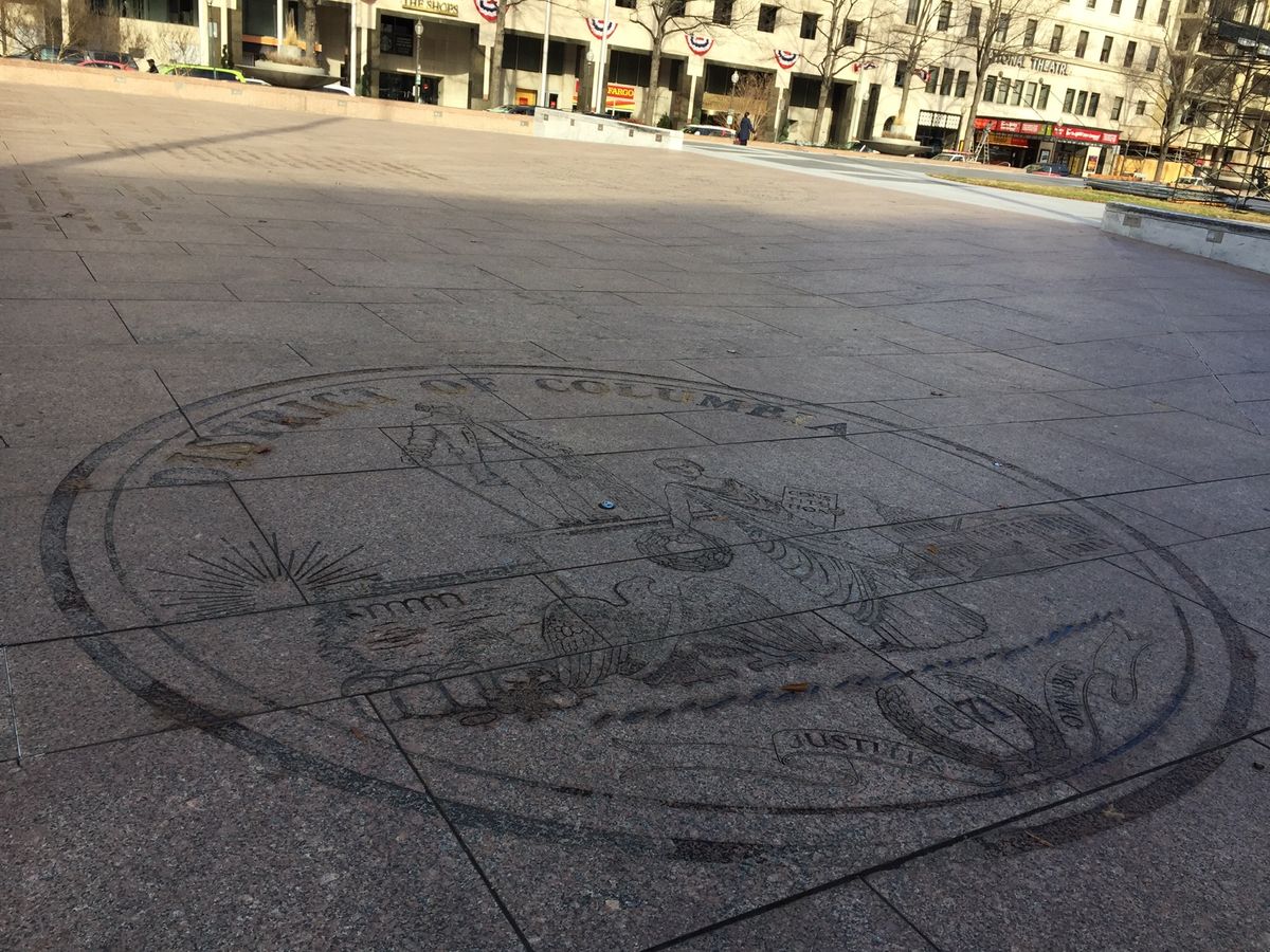 ワシントンのリスは。。。
人馴れし過ぎです！
カメラを向けると。。。
...