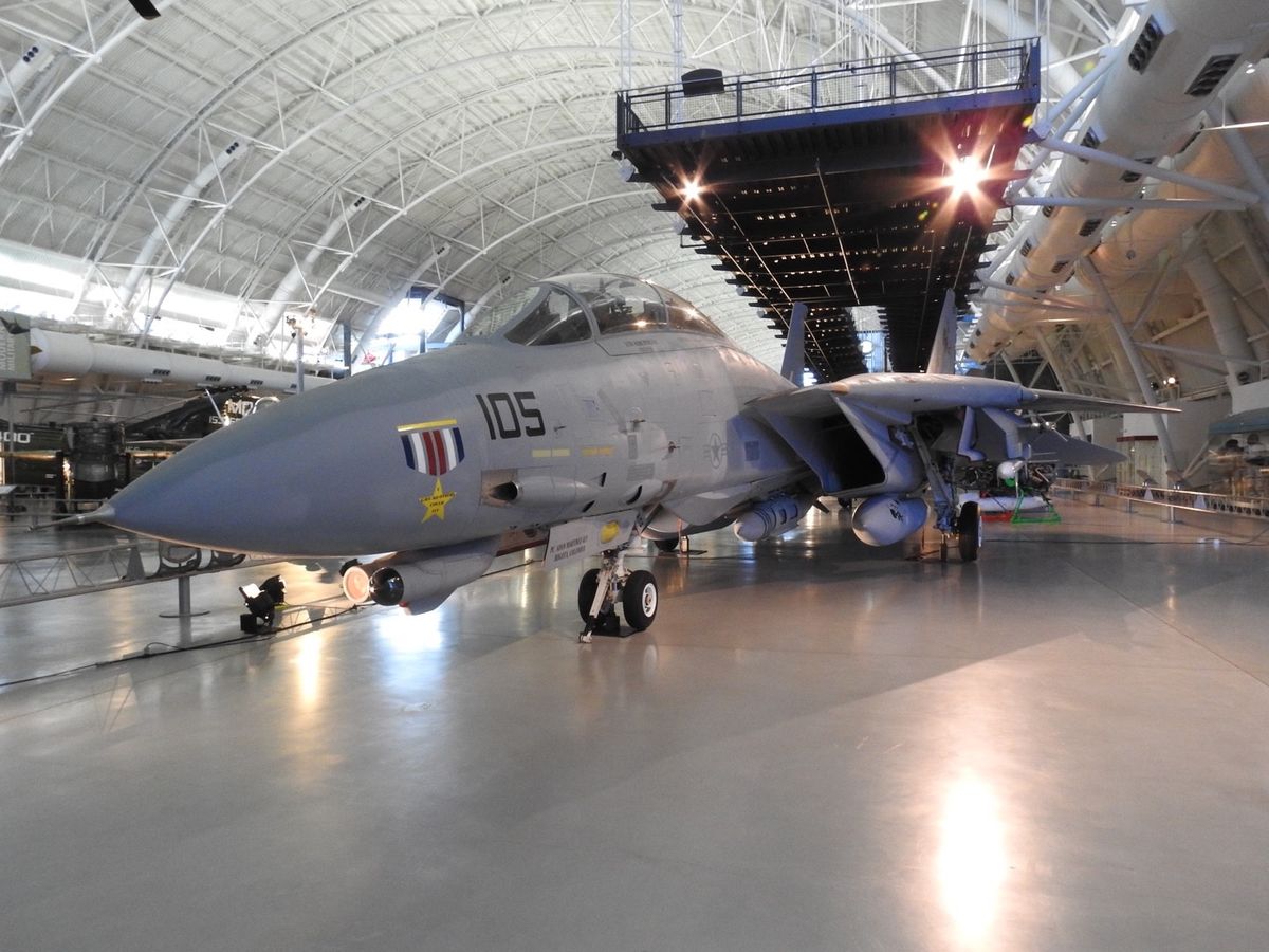 ワシントンのリスは。。。
人馴れし過ぎです！
カメラを向けると。。。
...