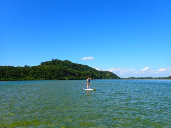 日本・Iriomote「Iriomote」の写真