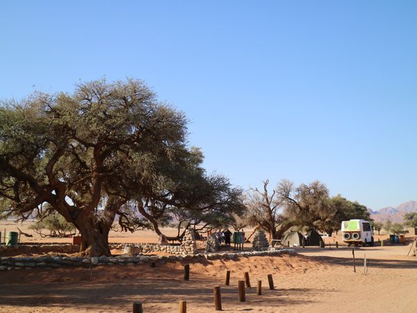 ナミビア・ウィントフック「ナミビア🇳🇦ナミブ砂漠」の写真：キャンプサイトには１つのテントに二人ずつ...