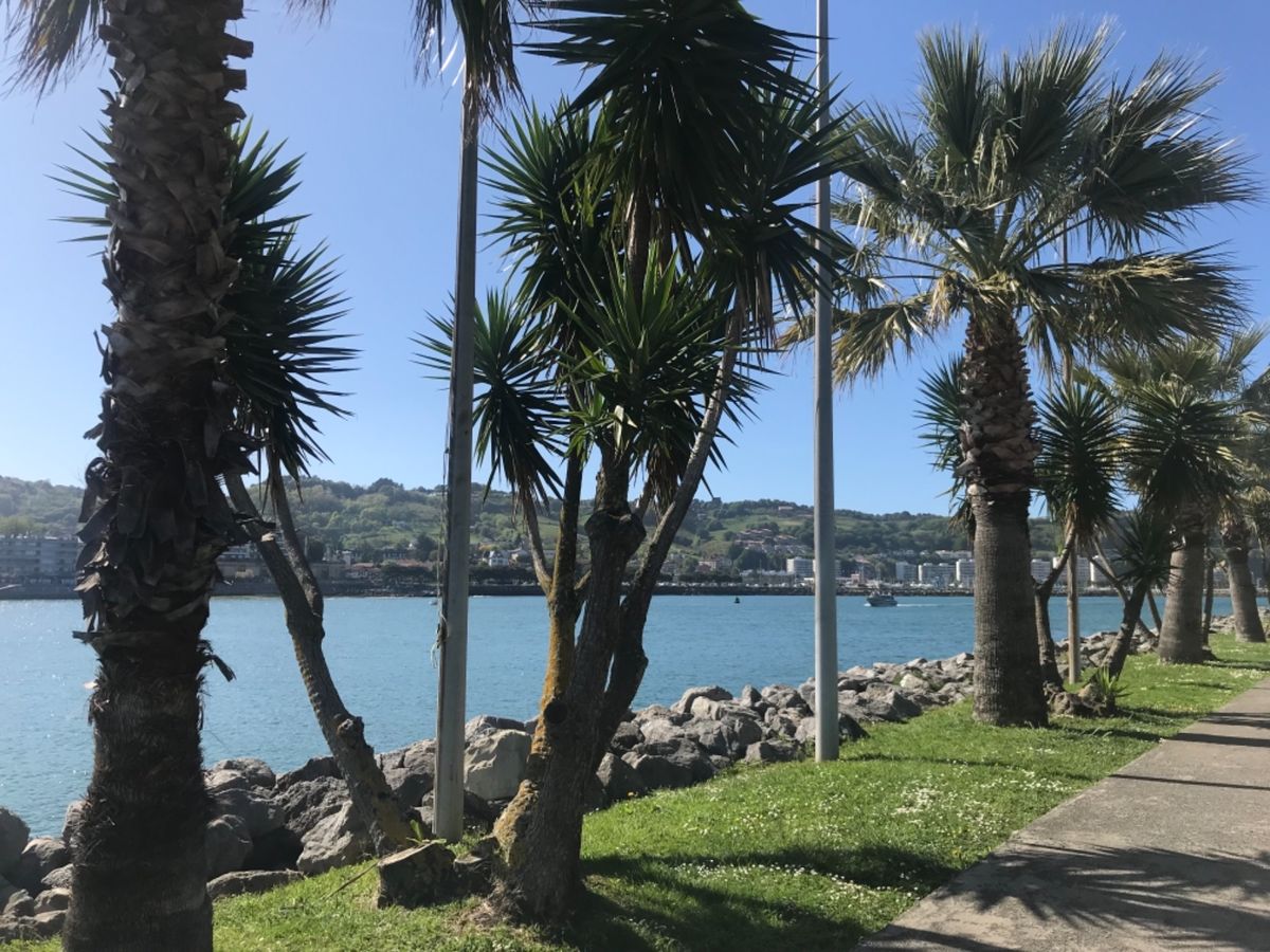 ここから交通機関はないので海沿いをお散歩♡