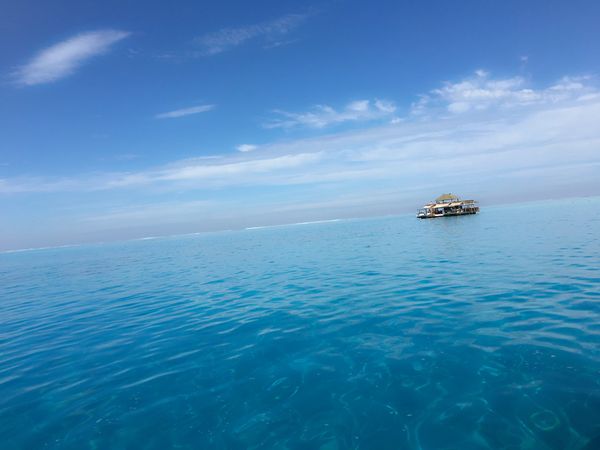 フィジー「フィジー🇫🇯」の写真