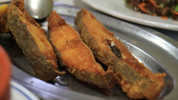 ポルトガル・モンサント村「ポルトガル🇵🇹リスボンからポルトまで」の写真：ポルトガルはご飯も美味しい。魚介系も肉系...