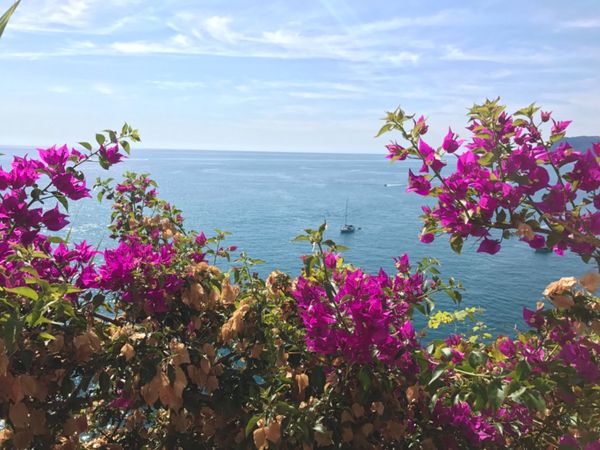 イタリア・ブラーノ島「Italy🇮🇹」の写真