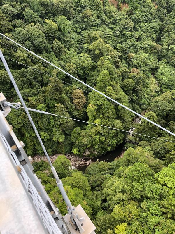 日本・熊本県「熊本」の写真