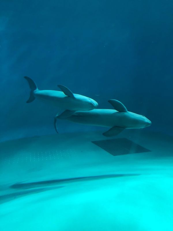 日本・山口県「山口」の写真