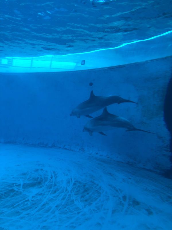 日本・山口県「山口」の写真