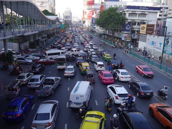 タイ「タイ」の写真