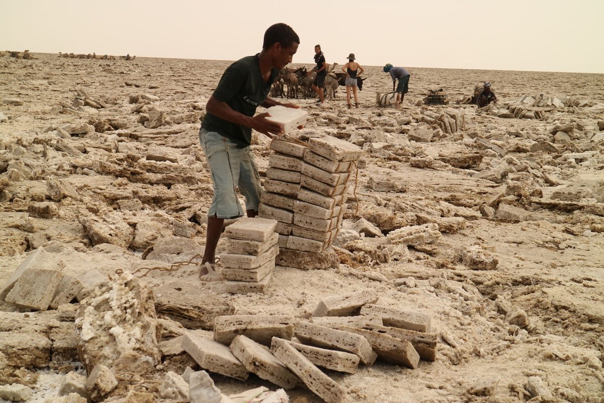 ツアー最後に向かった塩の採掘現場。ラクダがいっぱい。暑い中この作業は大変そう。。