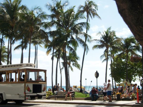 アメリカ(米国)・ハワイ「ハワイ研修」の写真