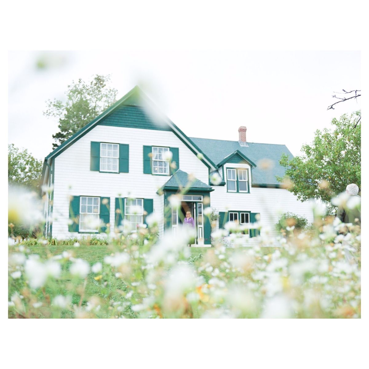 赤毛のアンの家☺︎