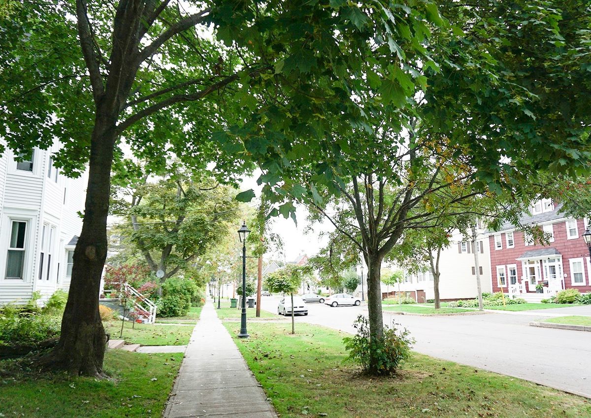 赤毛のアンの家☺︎