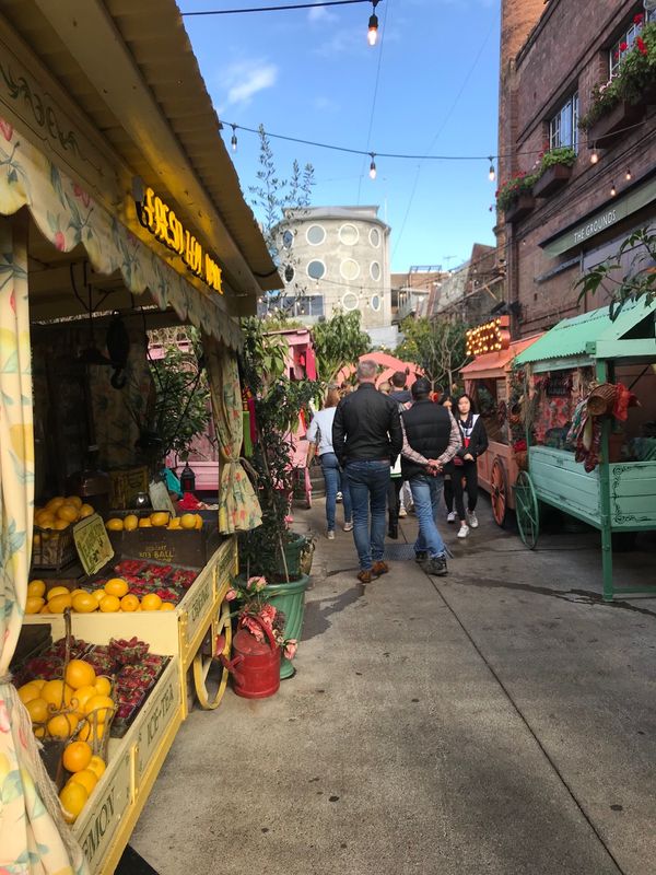 オーストラリア連邦・シドニー「シドニー」の写真