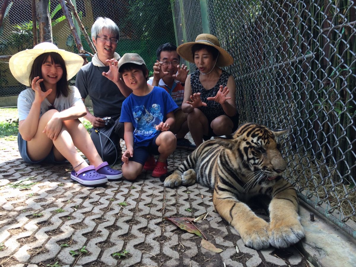 Family trip in Phuket 