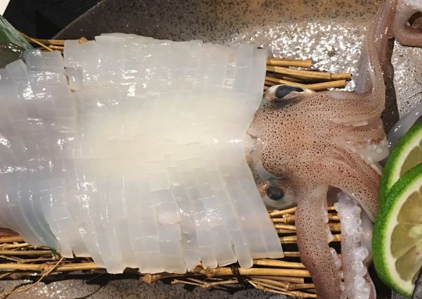 日本・福岡「乃木坂巡礼@福岡」の写真：もつ鍋やましょう。イカとゴマサバも美味し...