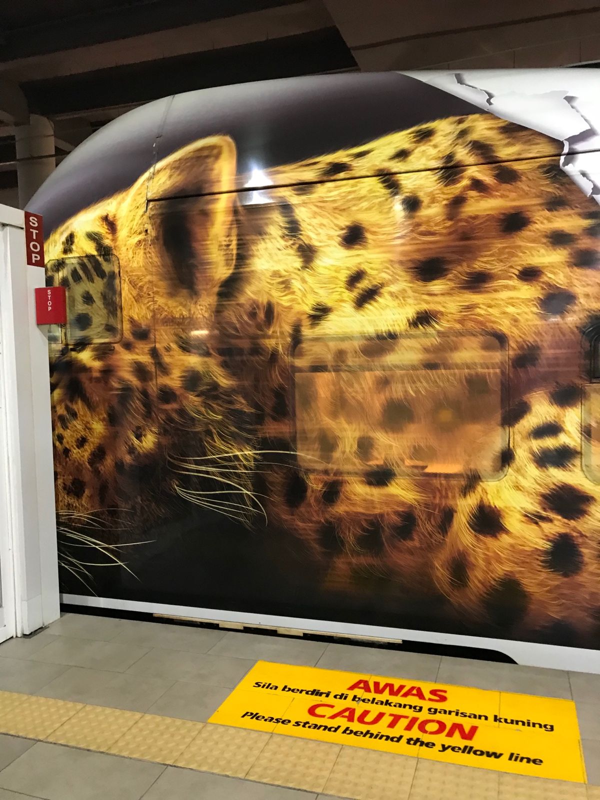 電車の先頭の外観がヒョウ⁉️