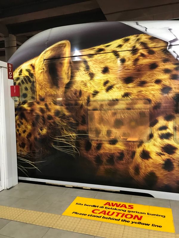 マレーシア「「クアラルンプール 初ＬＣＣ」の巻」の写真：電車の先頭の外観がヒョウ⁉️