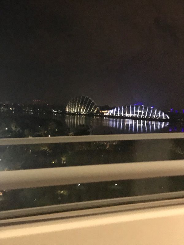 シンガポール・シンガポール「シンガポール」の写真