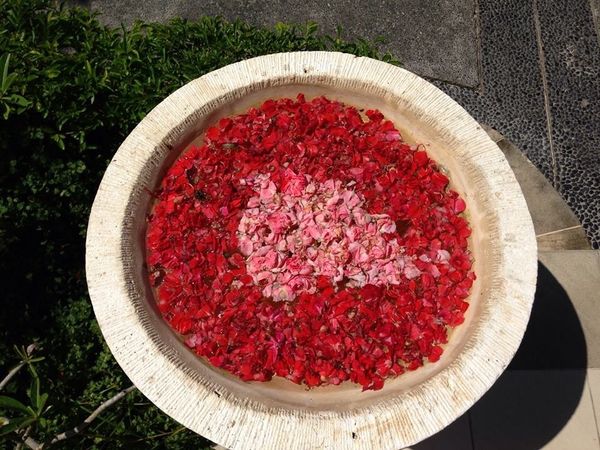 インドネシア「バリ旅行」の写真