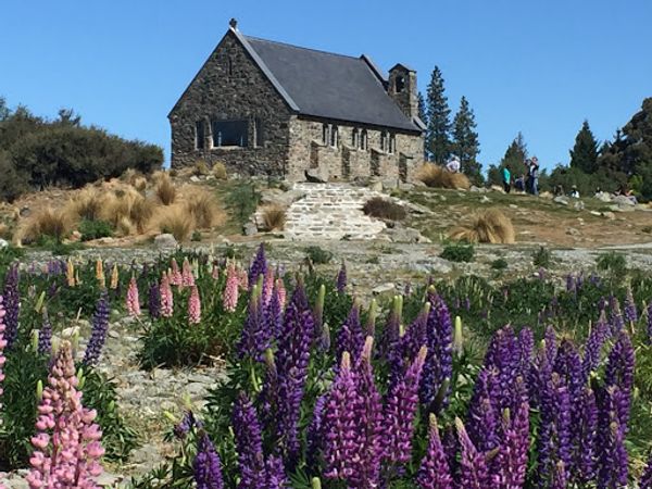 ニュージーランド「ニュージーランド」の写真