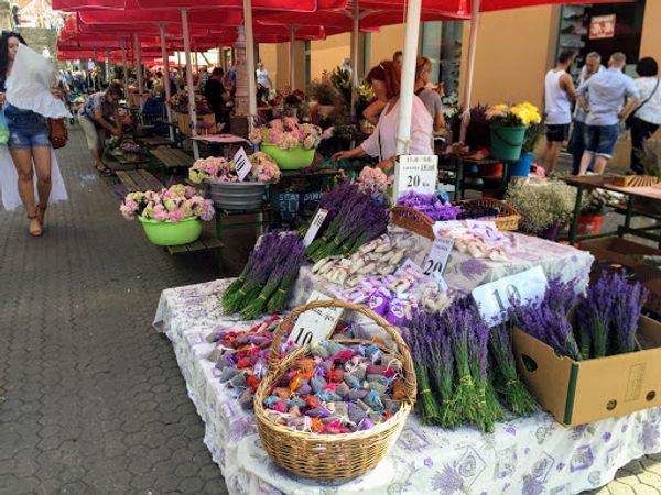 クロアチア「クロアチア•スロベニア」の写真