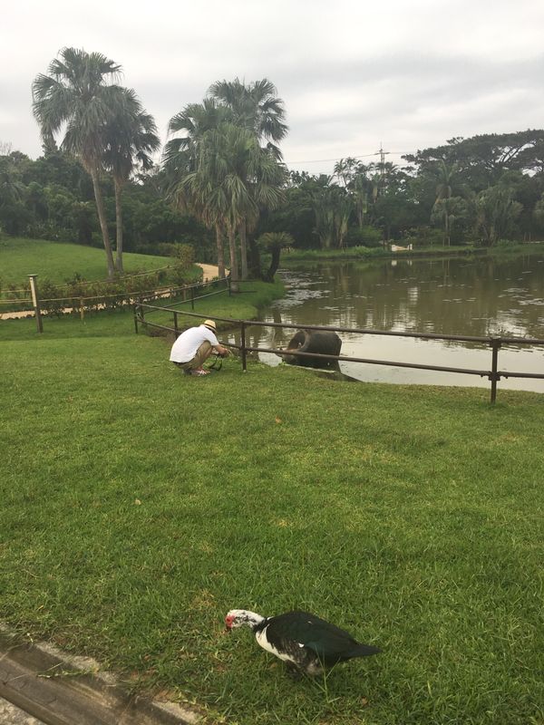 日本・竹富島「石垣島」の写真：小浜島と竹富島