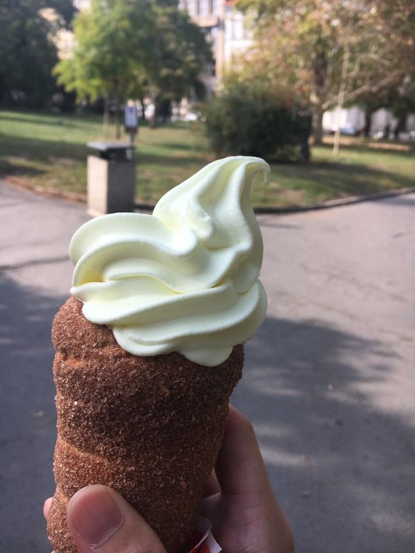 チェコ共和国・プラハ「◆チェコ◆ピルスナービール🍻」の写真