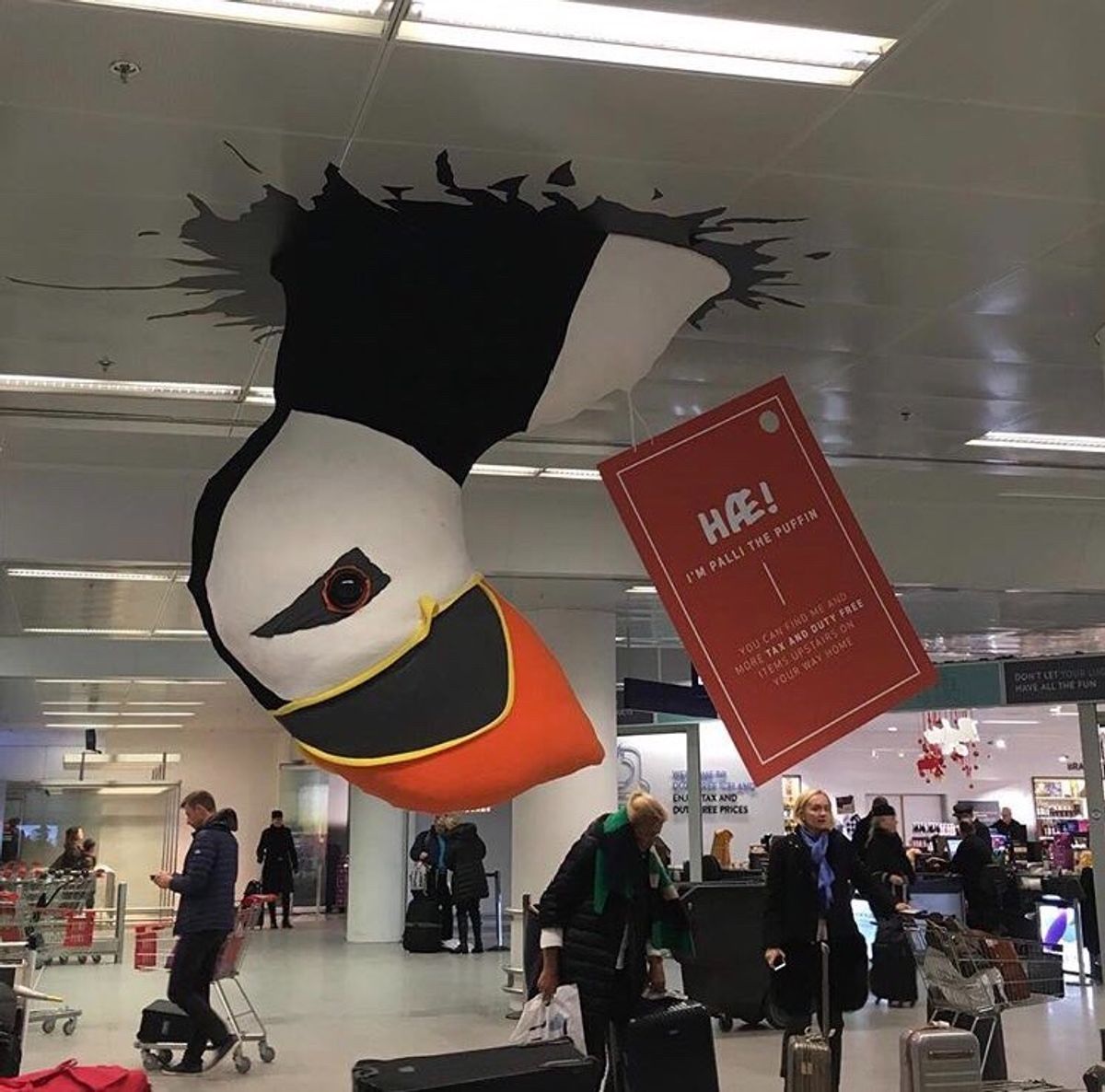 ゴーザンターク！
実はアイスランド旅、ハプニングだらけの旅でした。

長時...