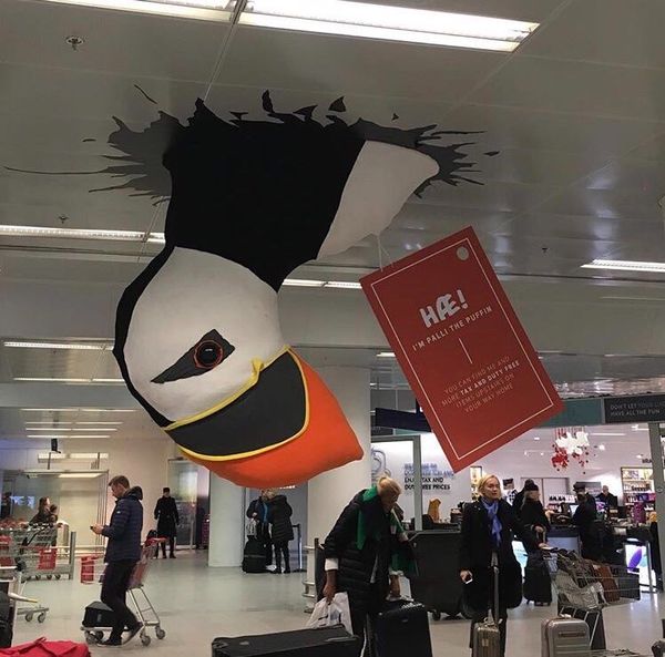 アイスランド・レイキャビク「パフィンに会いにアイスランドへ」の写真：ゴーザンターク！
実はアイスランド旅、ハ...