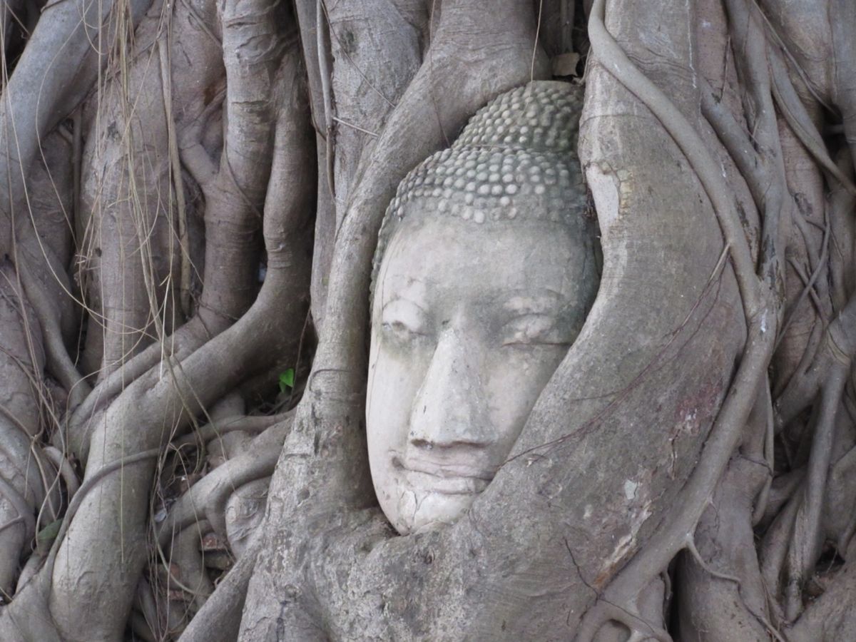 定番だけど、まずは定番こそ。