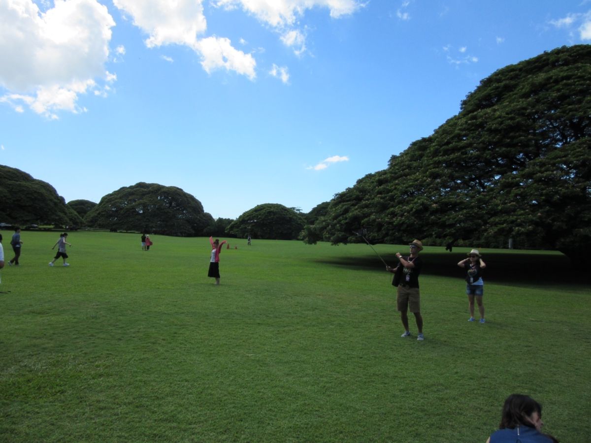 楽園の中の自然