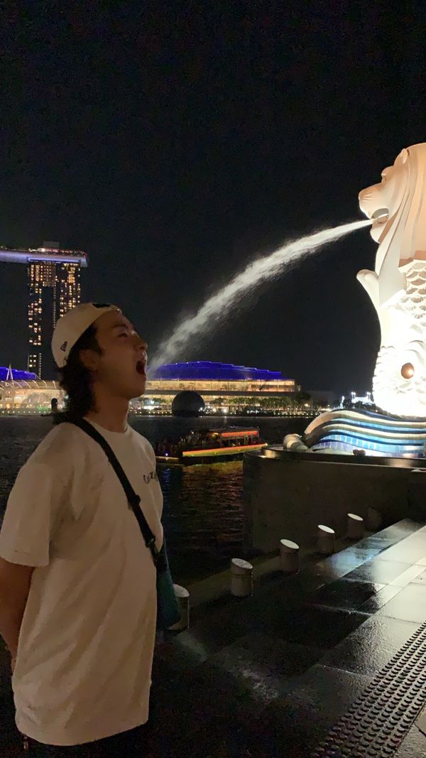 シンガポール「シンガポール」の写真