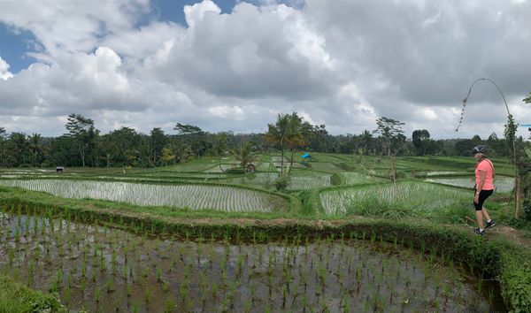 インドネシア「インドネシア 」の写真