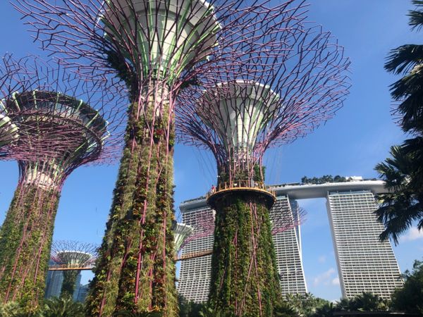 シンガポール・アラブストリート、マリーナベイサンズ、USS、セントーサ島「シンガポール🇸🇬」の写真