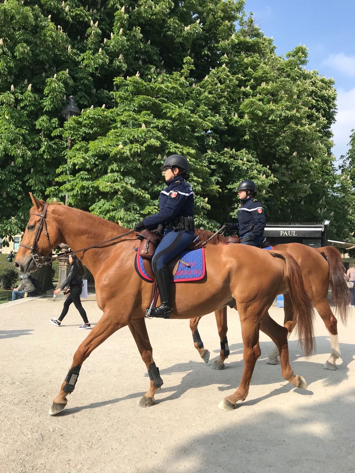 サンドイッチを買って、チュイルリー公園でランチ。
警察が馬で巡回中。
蹄の...