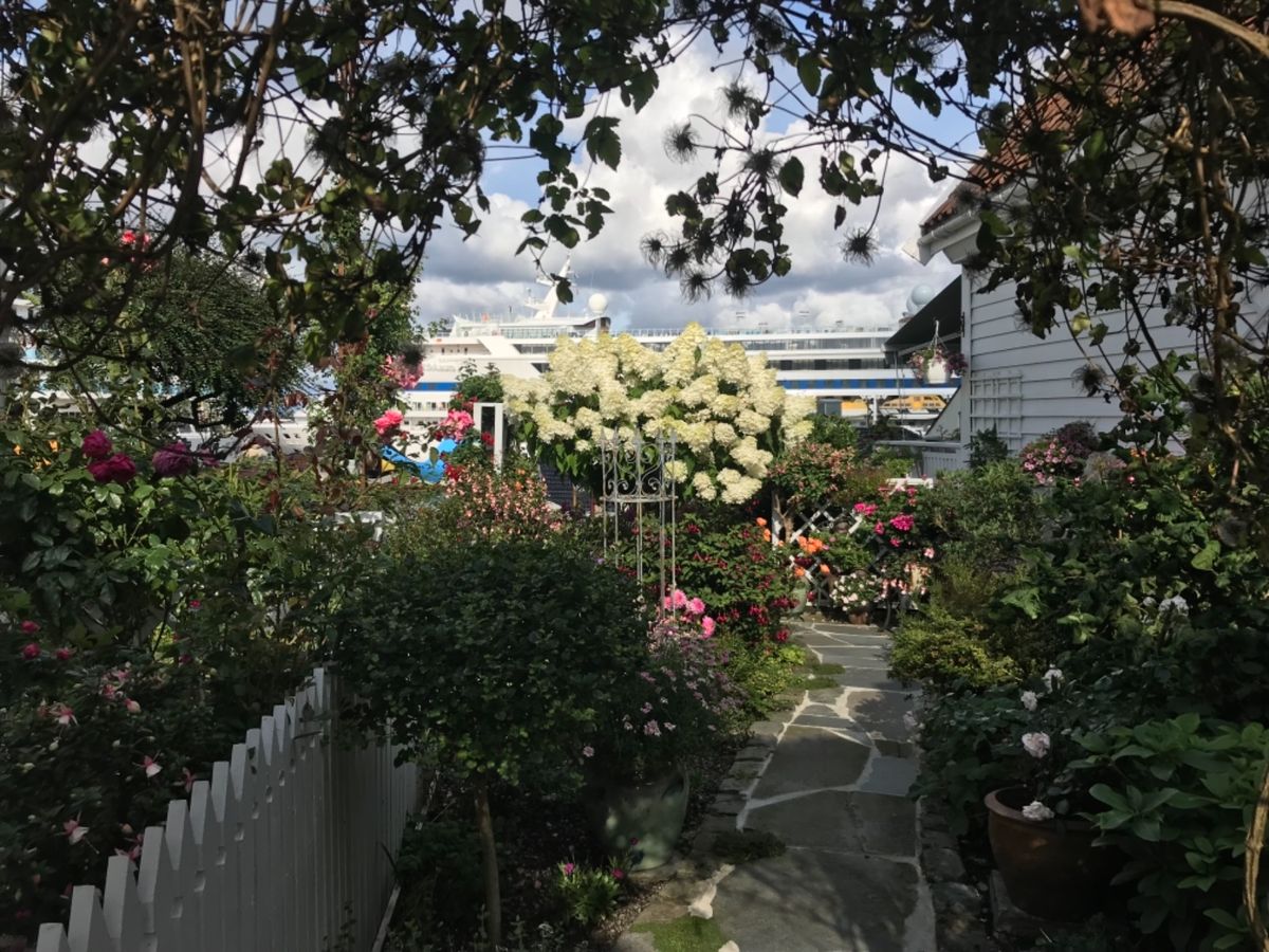 どこのお宅もお花いっぱい💐センスよく飾ってあって素敵だった♡