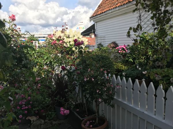 ノルウェー・スタヴァンゲル、ベルゲン、オスロ「Norway🇳🇴Stavanger/Bergen 」の写真