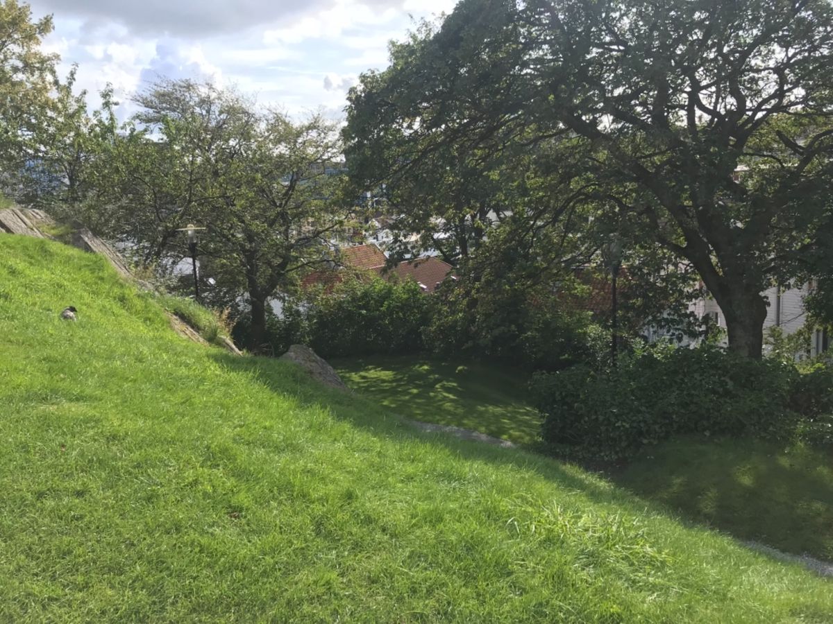 ここから眺める旧市街が素敵だった♡