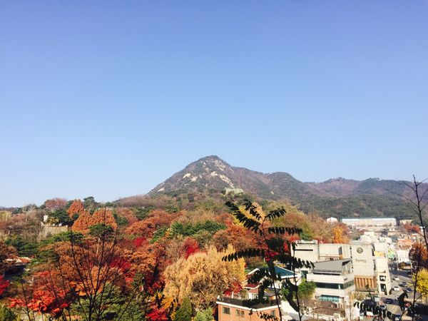 「韓国旅行」の写真