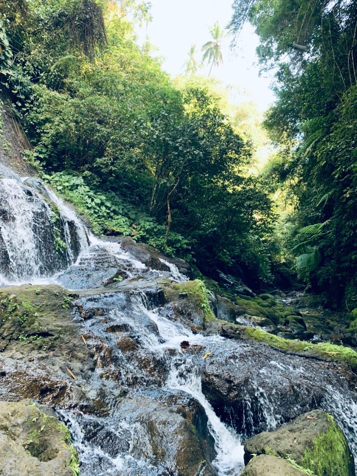バリ島の東部にある
トゥカ・チュプンの滝(Tukad Cepung Wat...