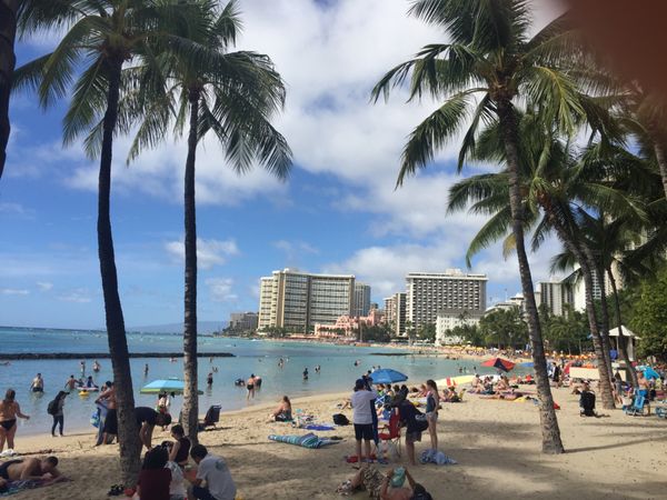 アメリカ(米国)・ハワイ「ハワイ」の写真：ワイキキビーチ