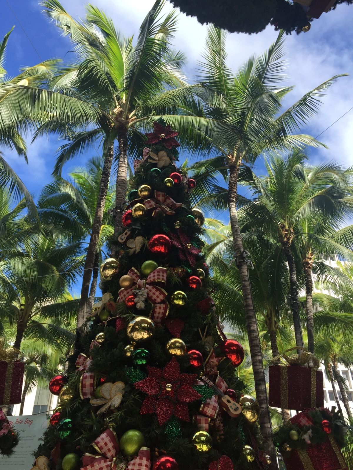 ハワイのクリスマス🎄
