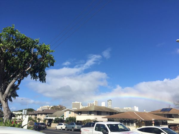 アメリカ(米国)・ハワイ「ハワイ」の写真：たくさん虹が見れた🌈

セグウェイも楽しかった