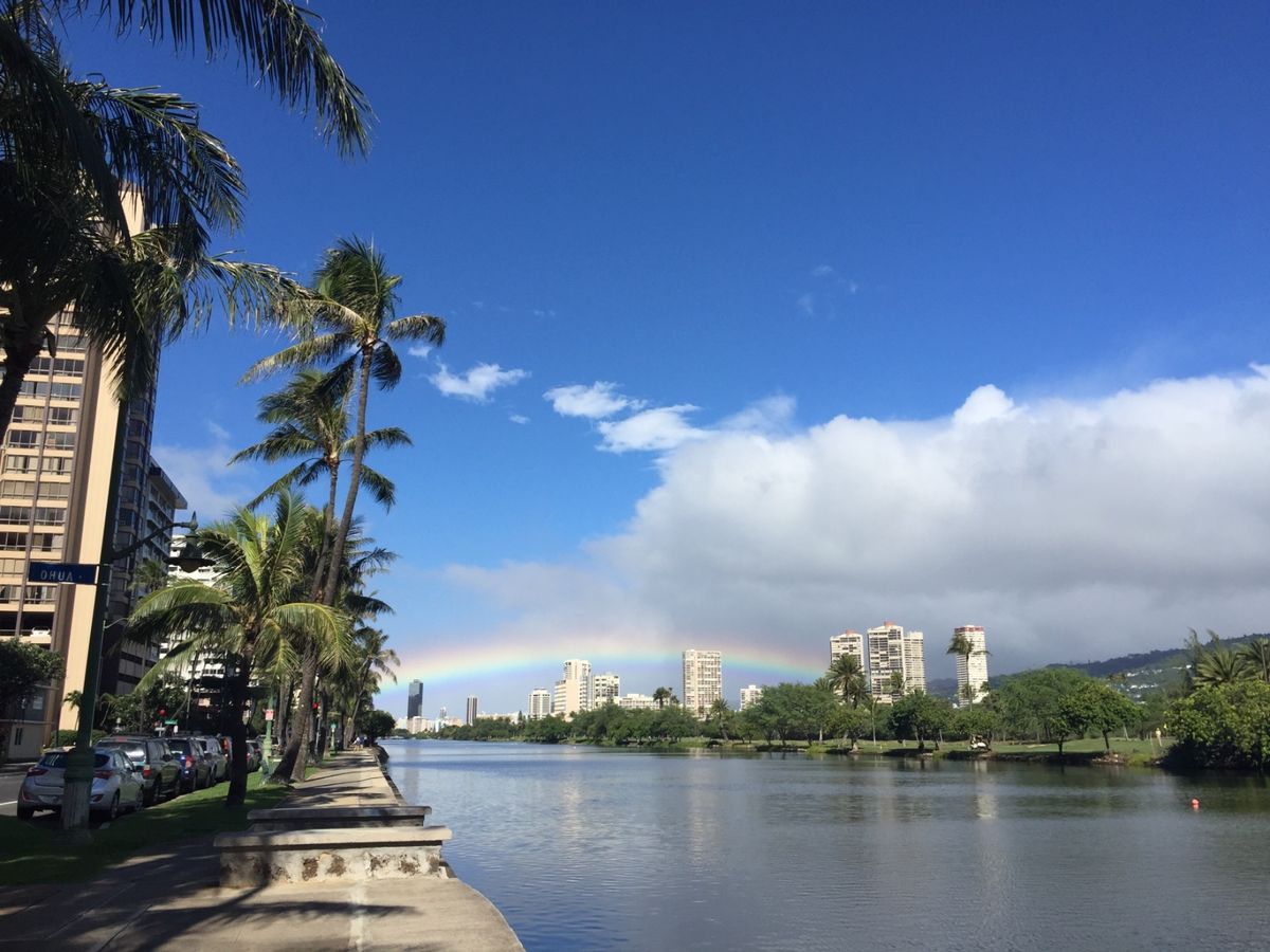 たくさん虹が見れた🌈

セグウェイも楽しかった