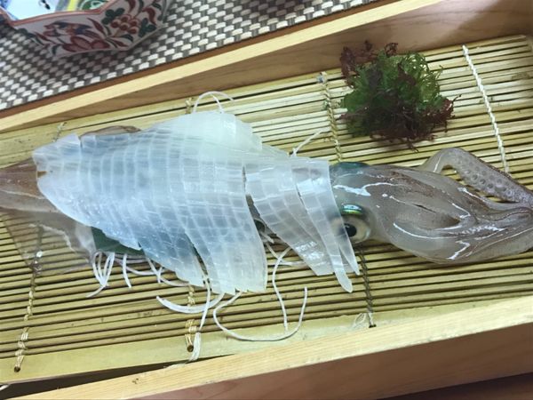 日本・呼子「呼子」の写真