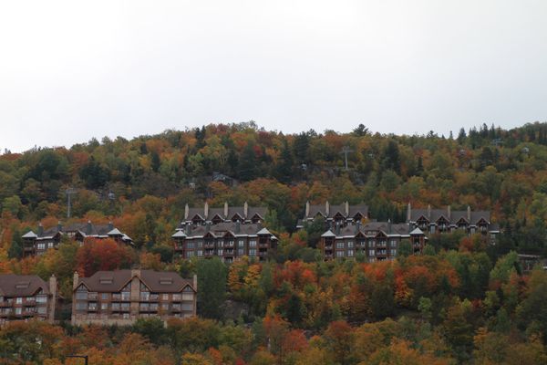 カナダ・トロント「２度目のカナダ　ドライブ旅行」の写真
