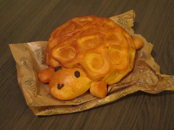 スペイン「スペイン、フランス」の写真