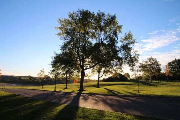 カナダ・トロント「２度目のカナダ　ドライブ旅行」の写真